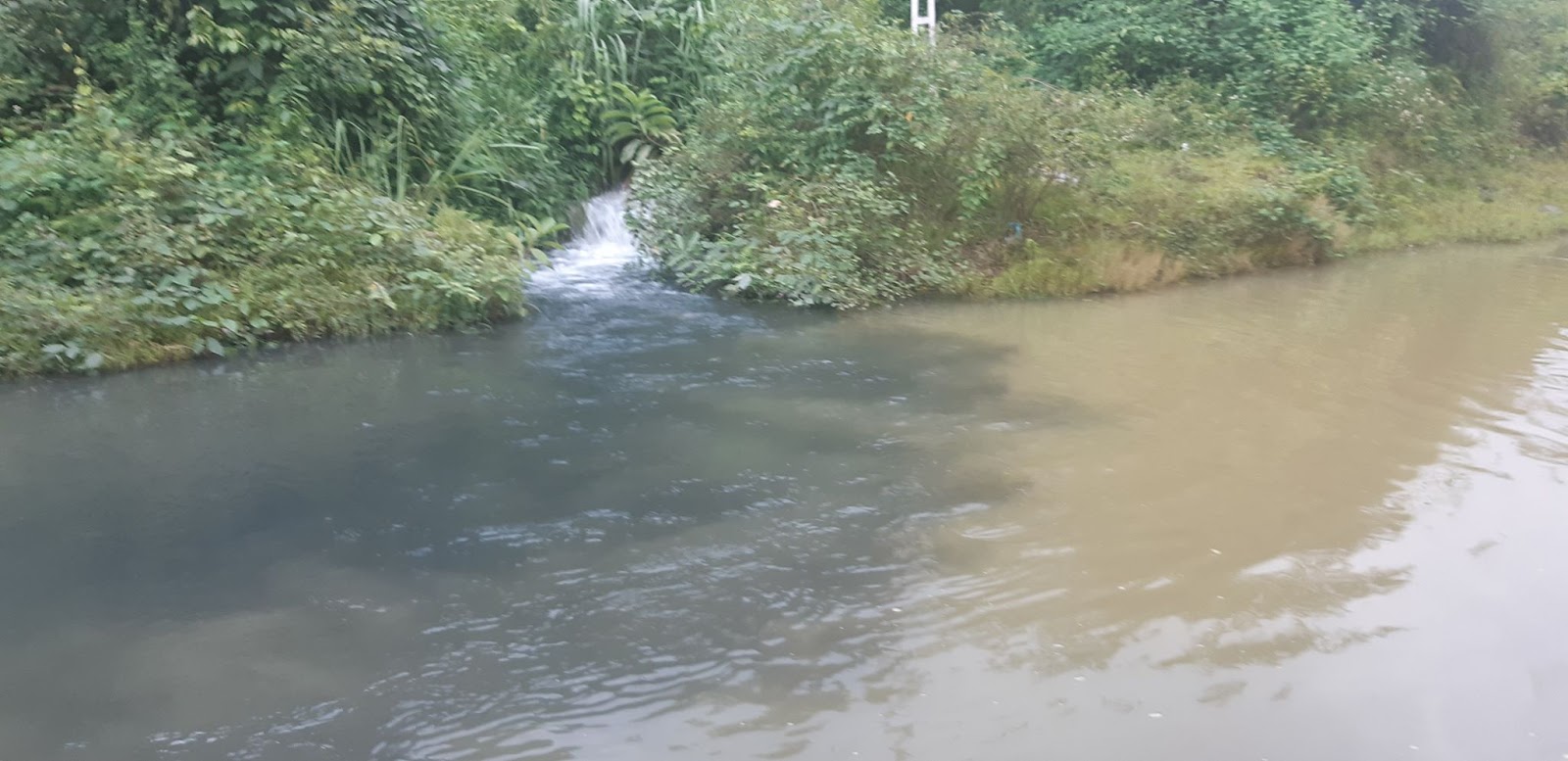 Tình trạng nước đầu nguồn ô nhiễm ngày càng nghiêm trọng tại Việt Nam